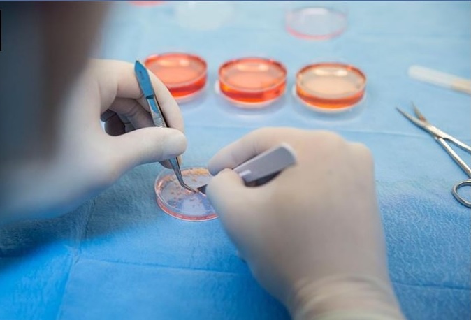Koronavirüs Hakkında Çok Sorulan Sorular