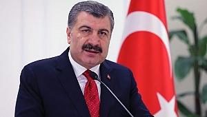 Türkiye'de 2. Koronavirüs Vakası