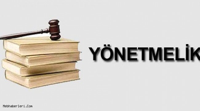 Yönetici Atama Yönetmeliği 2020