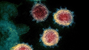 Koronavirüs ne zaman bitecek ?