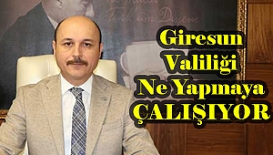 Türk Eğitim Sen'den Giresun Valiliği'ne Eleştiri