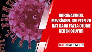 Koronavirüs, Mevsimsel Gripten 20 Kat Daha Fazla Ölüme Neden Oluyor
