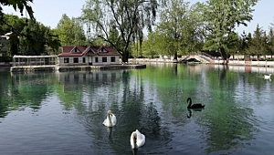 Milli parklar ve tabiat parkları mesire alanları ne zaman açılacak