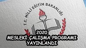 2020 MESLEKİ ÇALIŞMA PROGRAMI YAYINLANDI.