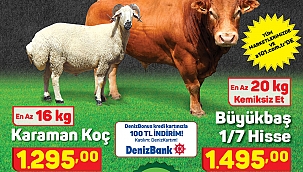 A101 13 Ağustos 2020 Perşembe İndirimli Ürünler Kataloğu